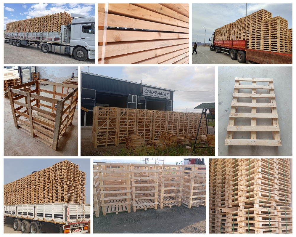 Geleen Houten Kisten, Europallets Groothandel Kopen